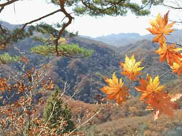 红花岗区审计局领导团队新貌，引领变革，共筑未来